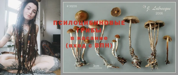 метамфетамин Гусев