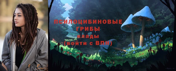 стафф Михайловка