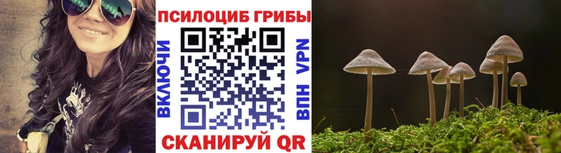 Псилоцибиновые грибы прущие грибы  Гусиноозёрск 