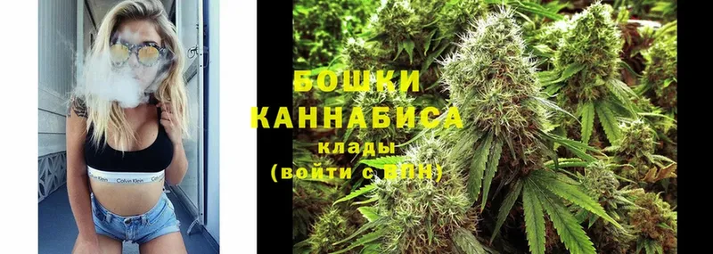 Бошки Шишки Ganja  сколько стоит  Гусиноозёрск 